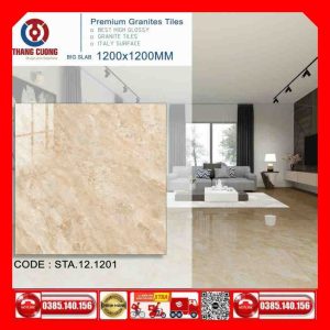 Gạch 120x120 Thắng Cường STA121201