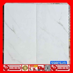 Gạch 30x60 Taicera GP63865 Granite