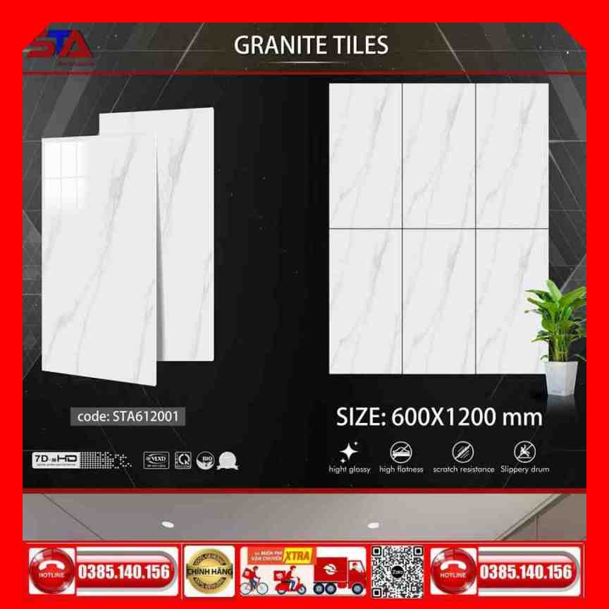 Gạch 60x120 Thắng Cường STA-STA612001 - Ảnh 4