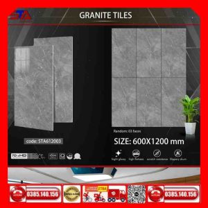 Gạch 60x120 Thắng Cường STA-STA612003