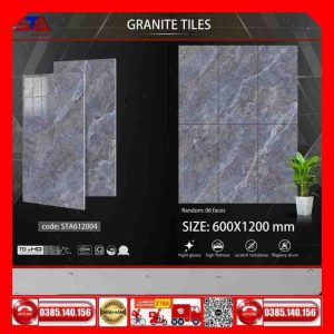 Gạch 60x120 Thắng Cường STA-STA612004