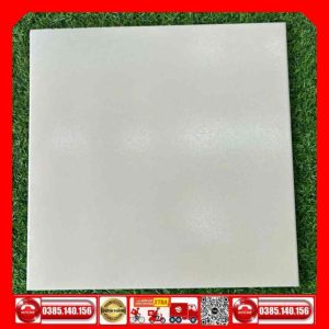 Gạch 60x60 Taicera G68034 Granite