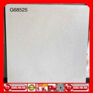 Gạch 60x60 Taicera G68525 Granite