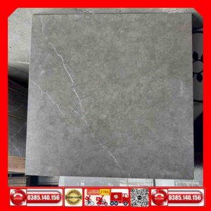 Gạch 60x60 Á Mỹ 6142A1