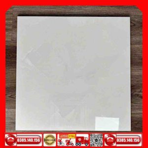 Gạch 60x60 TAKAO D6302