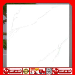 Gạch 60x60 TAKAO D6305