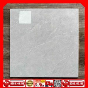 Gạch 60x60 TAKAO D6306