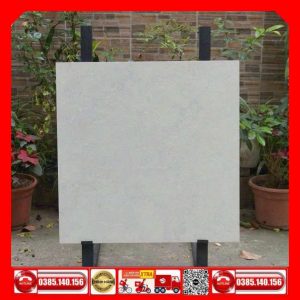Gạch 80x80 Taicera G88P13JM