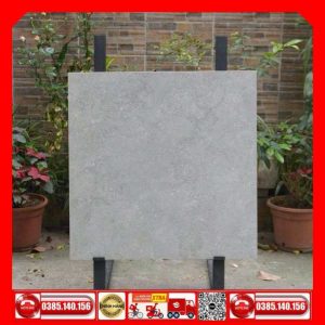 Gạch 80x80 Taicera G88P17JM