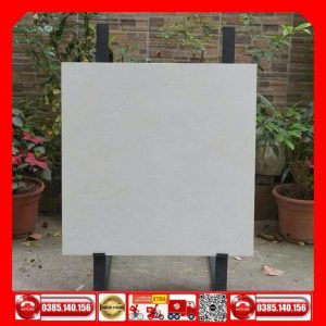 Gạch 80x80 Taicera G88P22JM