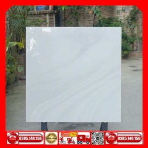 Gạch 80x80 Taicera GP88L50JW
