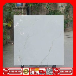 Gạch 80x80 Taicera GP88L55JW