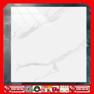 Gạch 80x80 Ý Mỹ NT88004